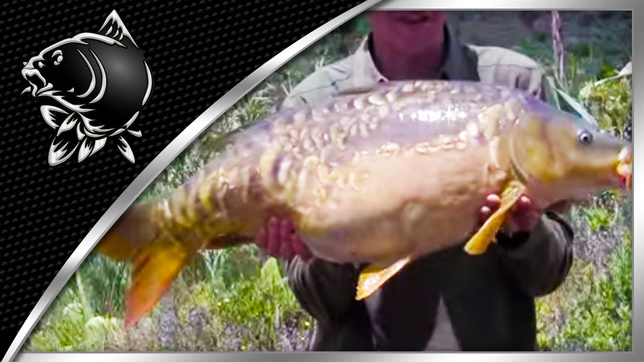 CARP FISHING IN GRAN CANARIA WITH ALAN BLAIR - NASH - THE HOLIDAY TAPES PART 1 - NASH TV