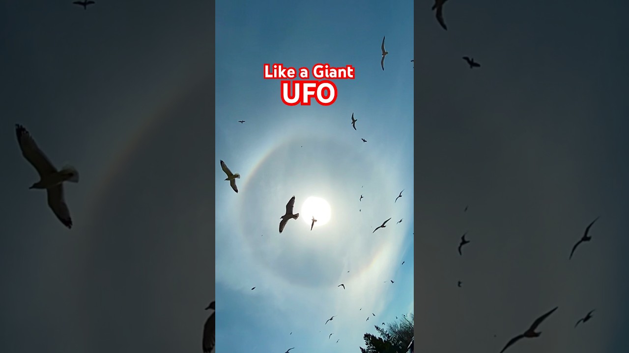 Giant UFO-Like Object  #shorts #ufo #space