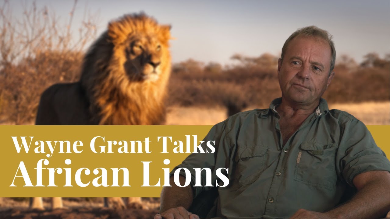 Professional Hunter Wayne Grant Discusses Lions and His New Book