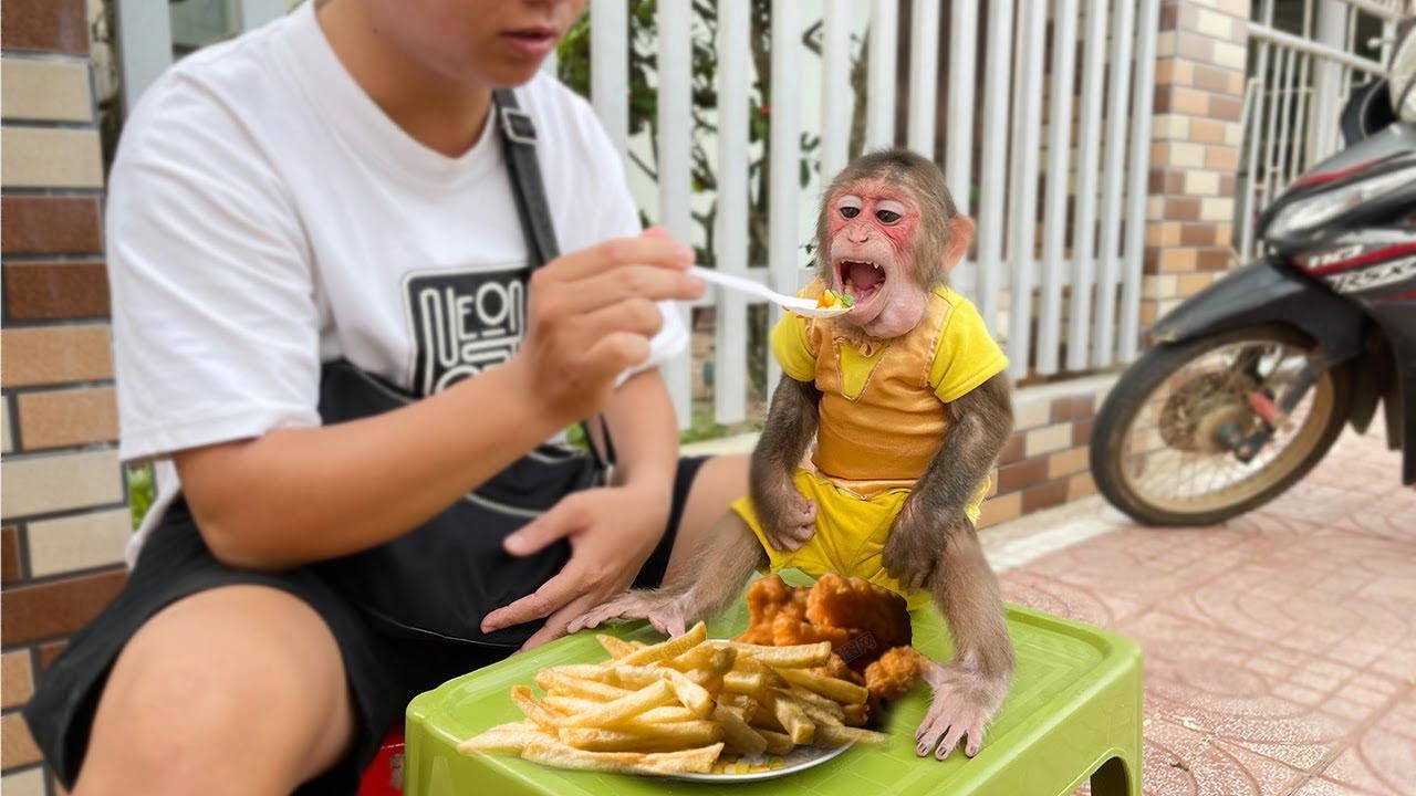 Exploring Delicious Street Food with Dad and Cubis! 🐵❤️