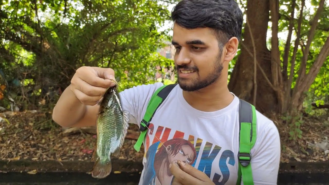 I Caught Some Amazing Fish from The Wild for Keeping them in Aquarium !