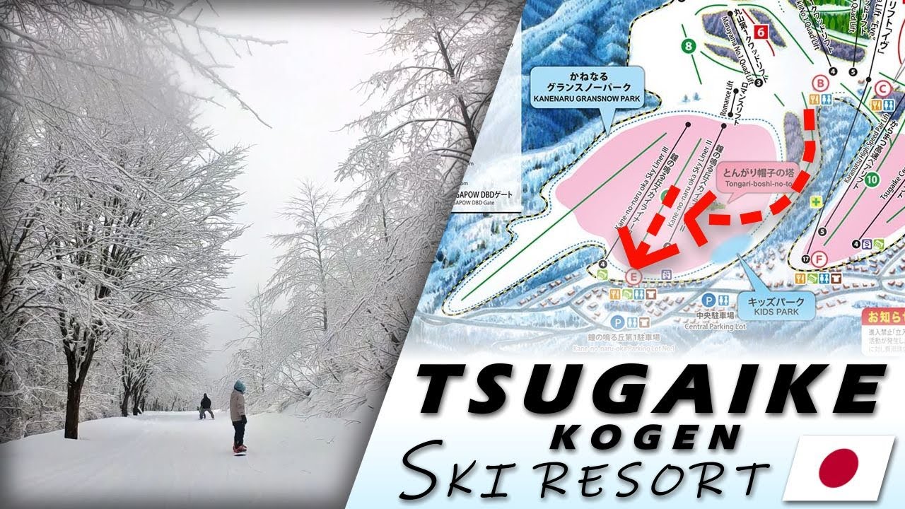 Beautiful Beginner Ski Area in Tsugaike Kogen, Hakuba, Japan | Kane no Naru Oka (Bell Hill Slope)