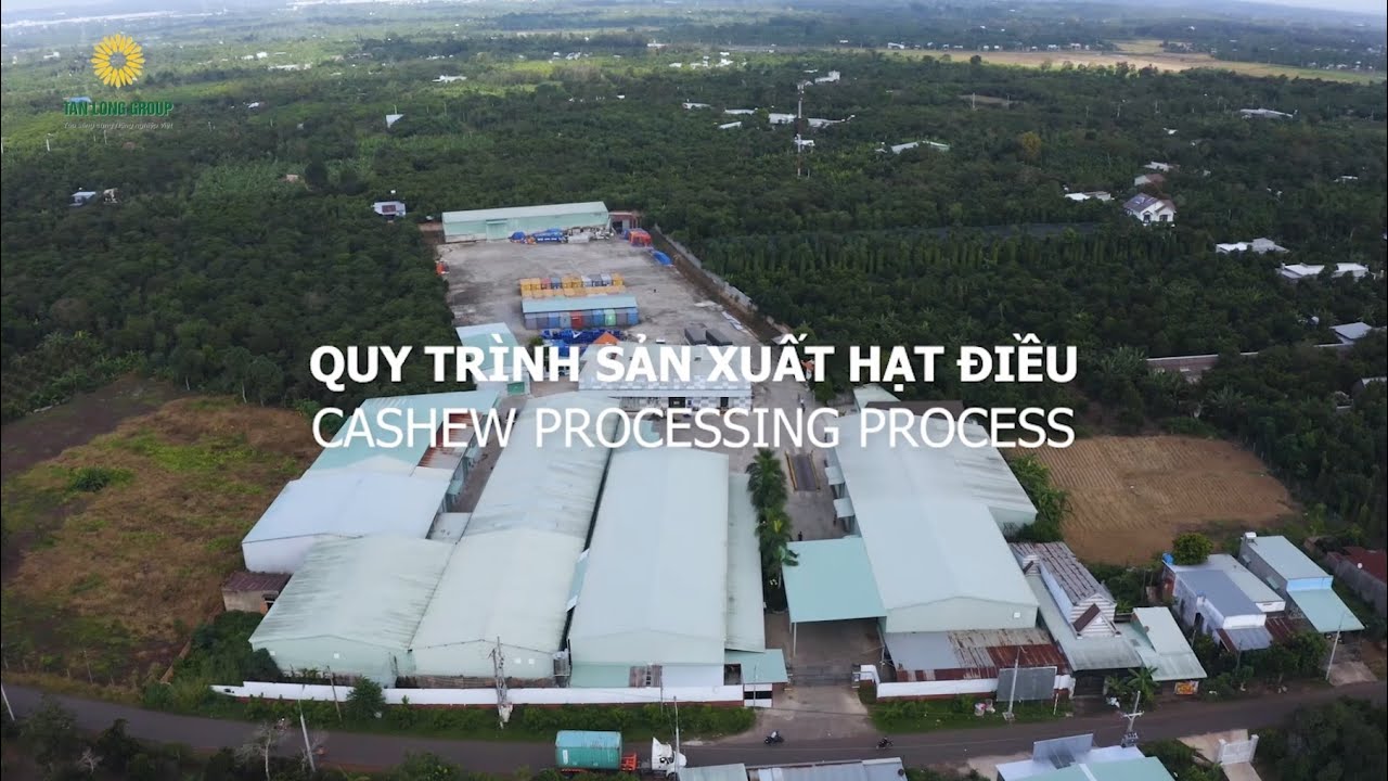 Quy Trình Sản Xuất Hạt Điều
