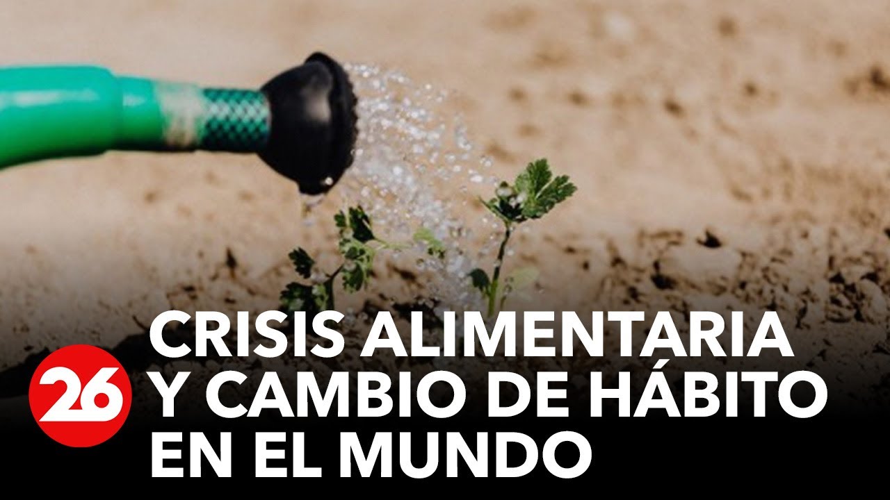 Crisis alimentaria y cambio de h&aacute;bito en el mundo