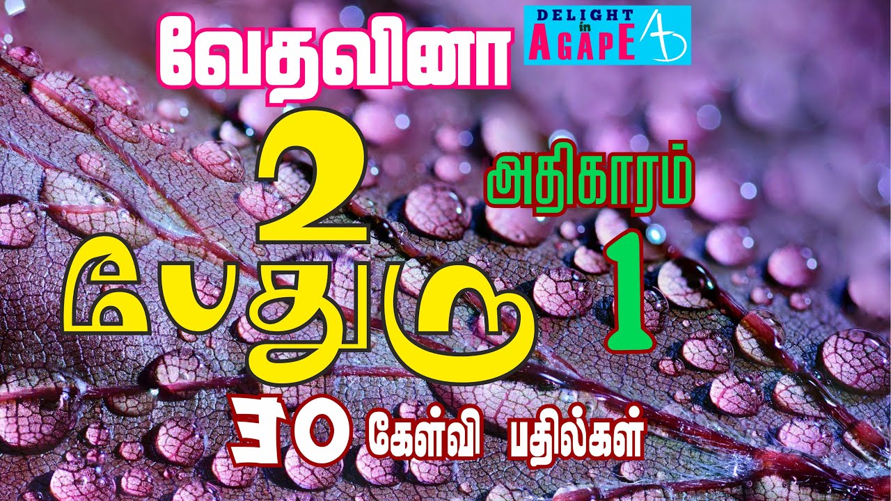 2 பேதுரு | ஆதிகாரம் 1 | 30 கேள்வி பதில்கள் | 2 Peter | Chapter 1 | 30 Q & A | Bible Quiz Tamil