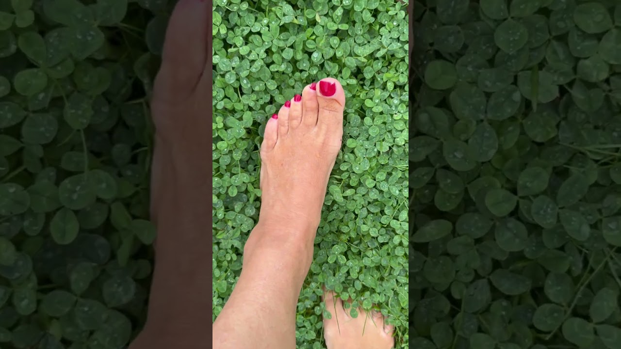 Have you ever felt the sensation of wet clover under your bare feet?