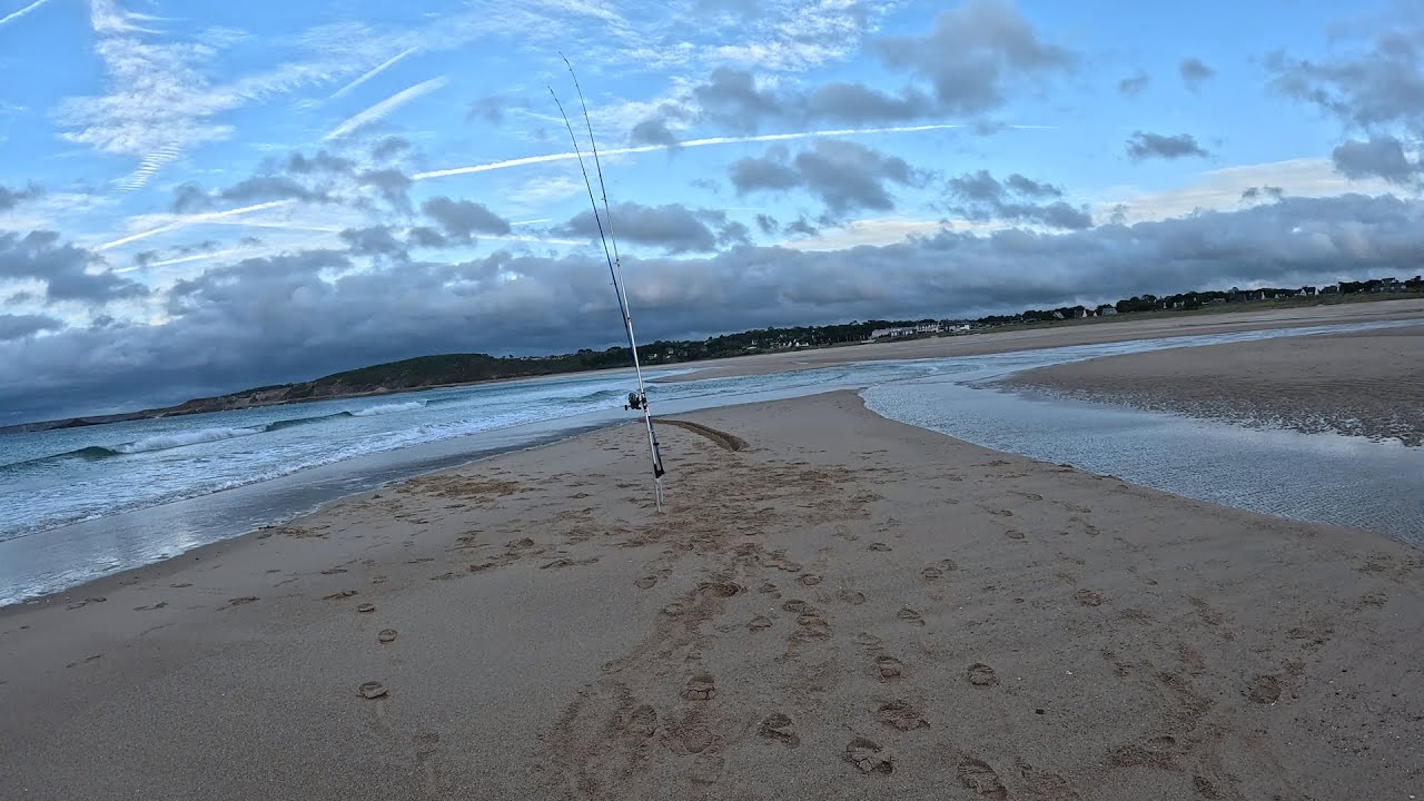 Rencontre inoubliable en surfcasting 🌊🌊 Que la nature est belle 🤩