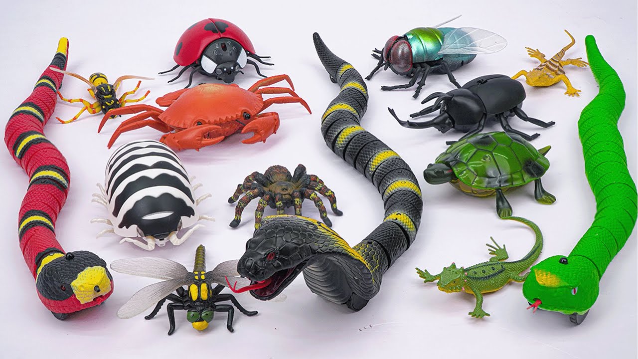 ZURU ROBO ALIVE COLLECTION | UNBOXING Robo Naja Cobra Snake, New Robo Alive Huge Dragon | ASMR