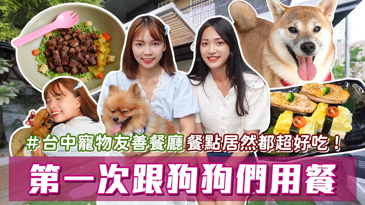 第一次跟狗狗一起吃日本料理🐶 毛小孩也能吃的超萌雞蛋糕？結合美容住宿的寵物友善餐廳！