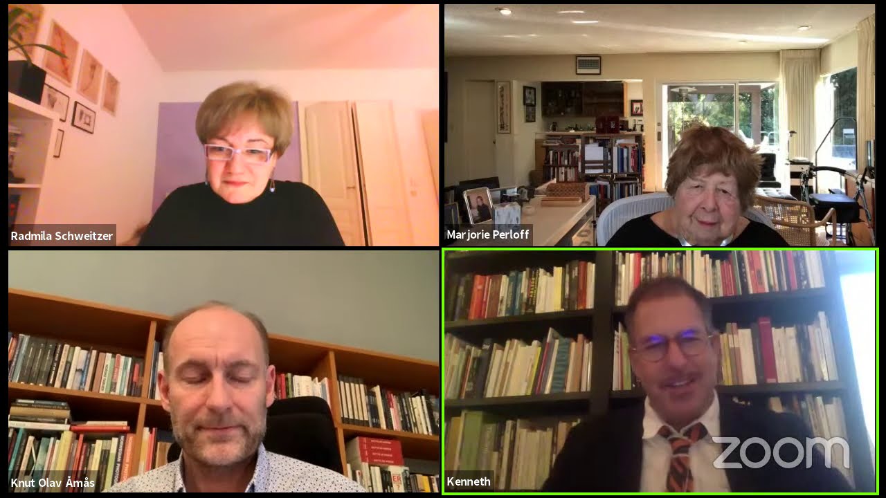 Misreading Wittgenstein