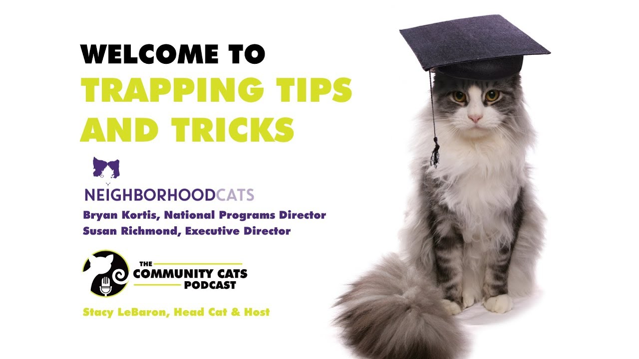 Trapping Tips and Tricks