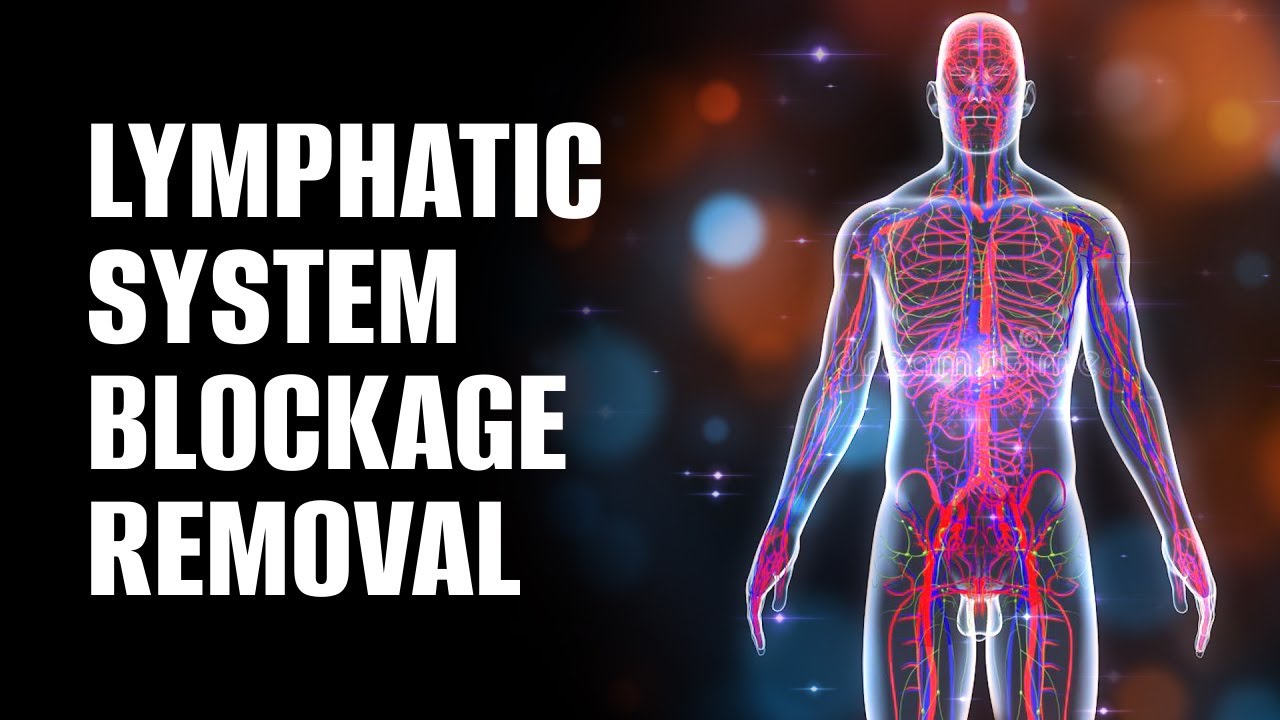 Lymphatic System Blockage Removal | Healing Frequency Music | (Energetically Programmed Audio)