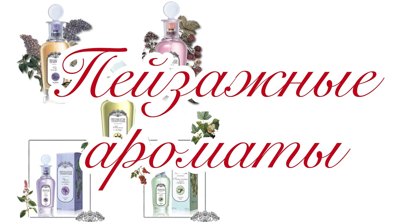 Пейзажные ароматы от BROCARD. #матьвсеяброкара #яжматьброкара