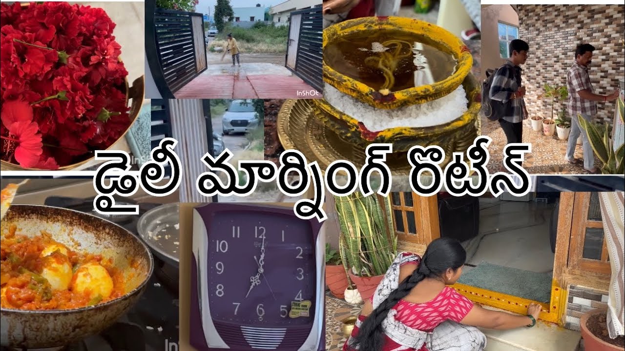 డైలీ మార్నింగ్ రొటీన్🥰😍😎😎