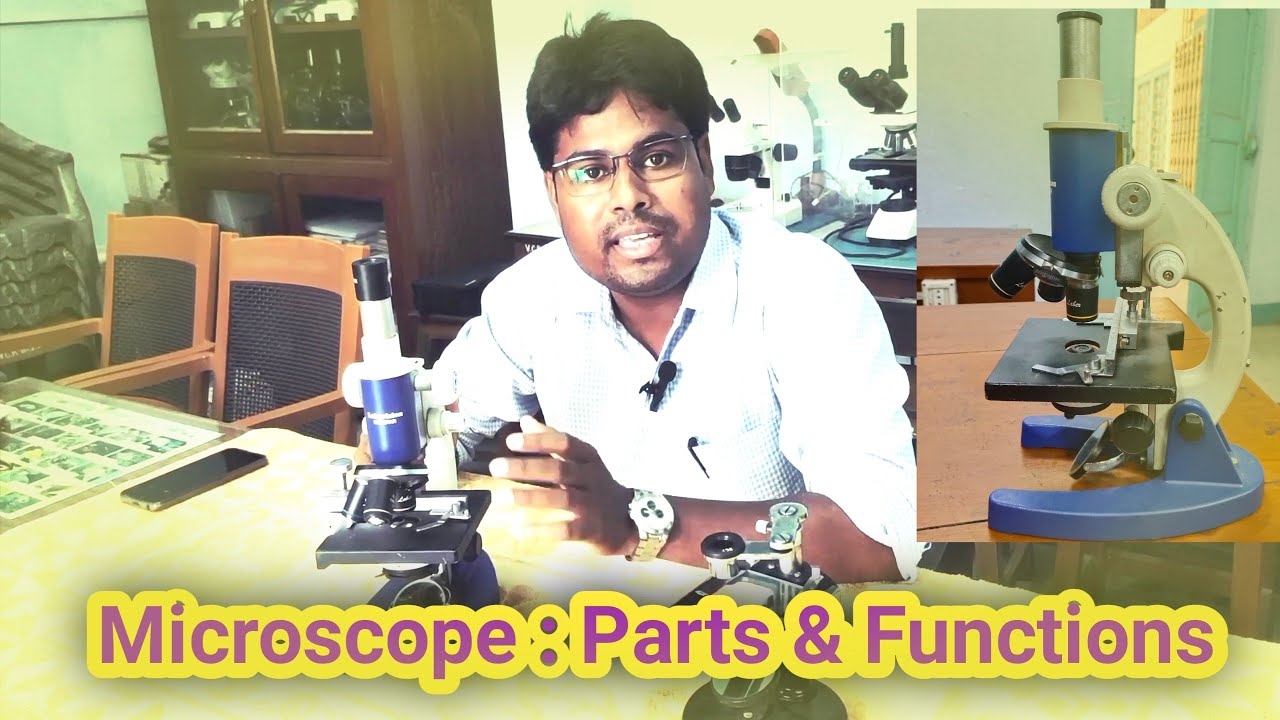 Microscope: Parts and Function || Simple And Compound Microscope | Types and Use of #microscope