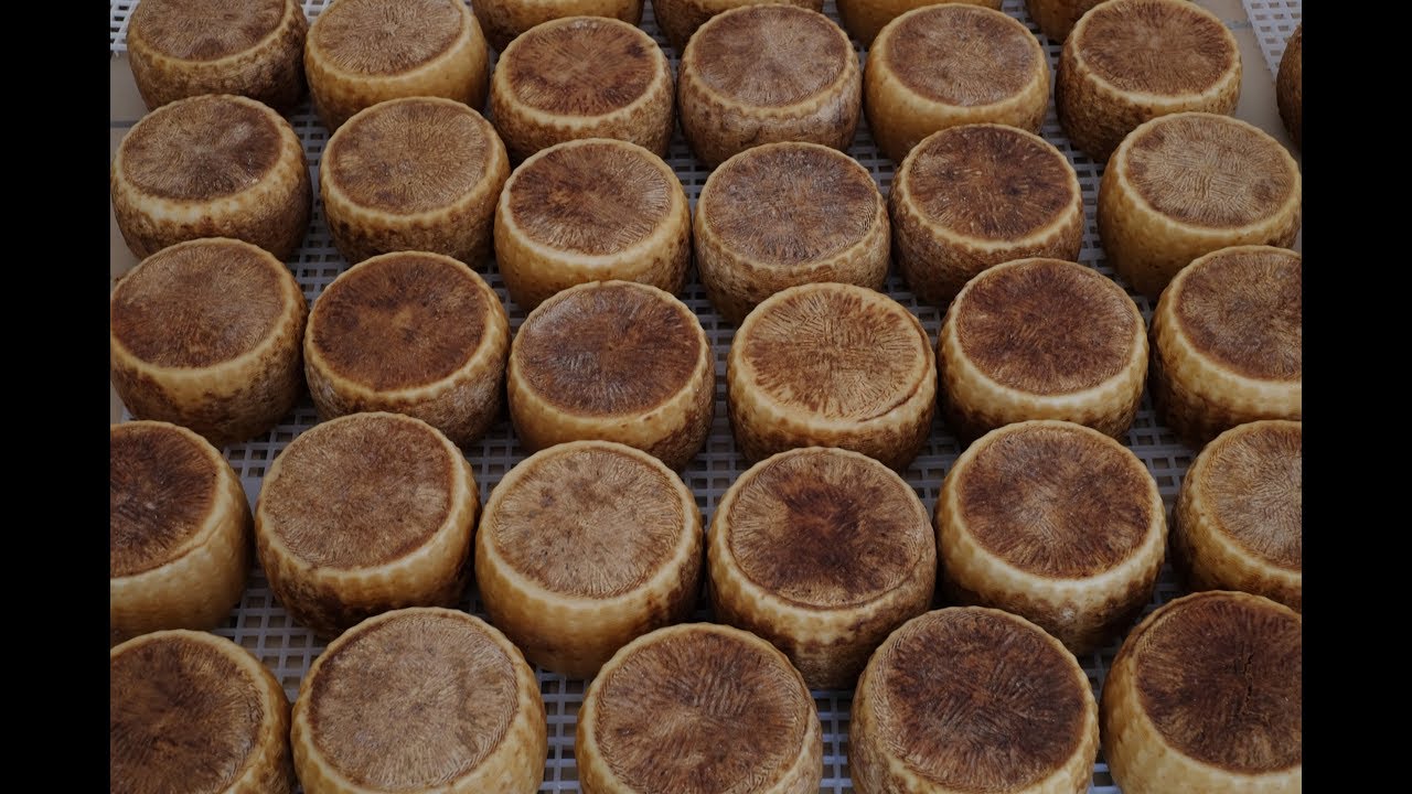 San Paolo Albanese (PZ) - Le tradizioni enogastronomiche