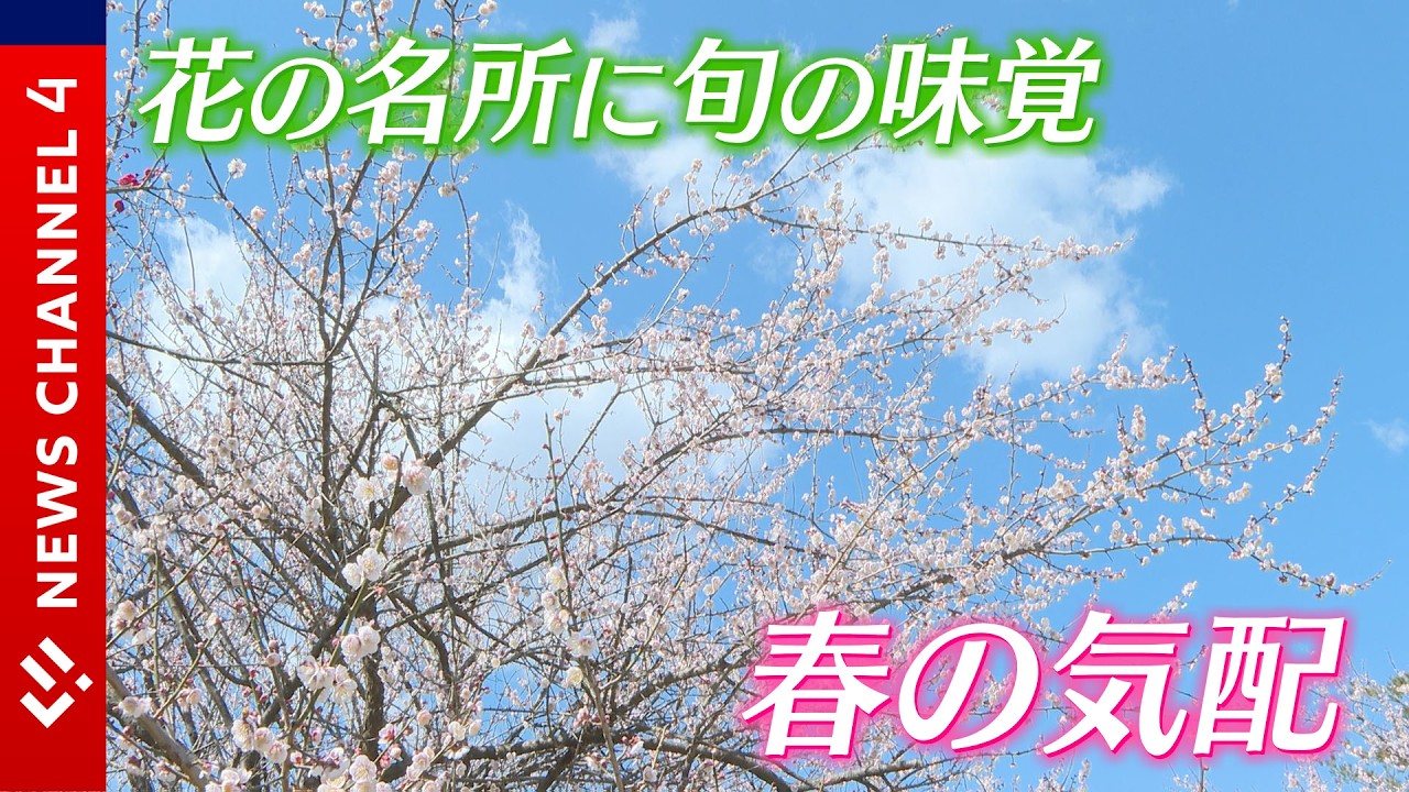 梅の名所に旬の味覚も＜NEWS CH.4＞