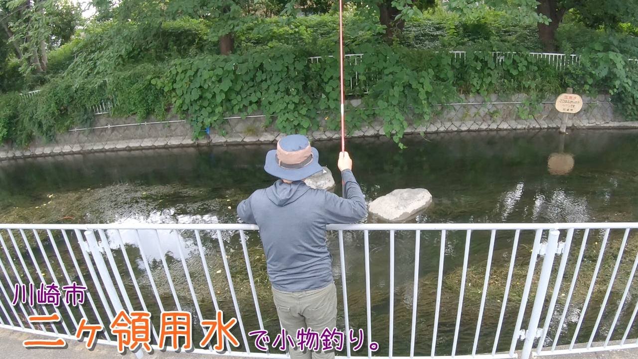 歴史ある水路を散策♪ 最後は・・・尺越え？    川崎市 二ヶ領用水で小物釣り。