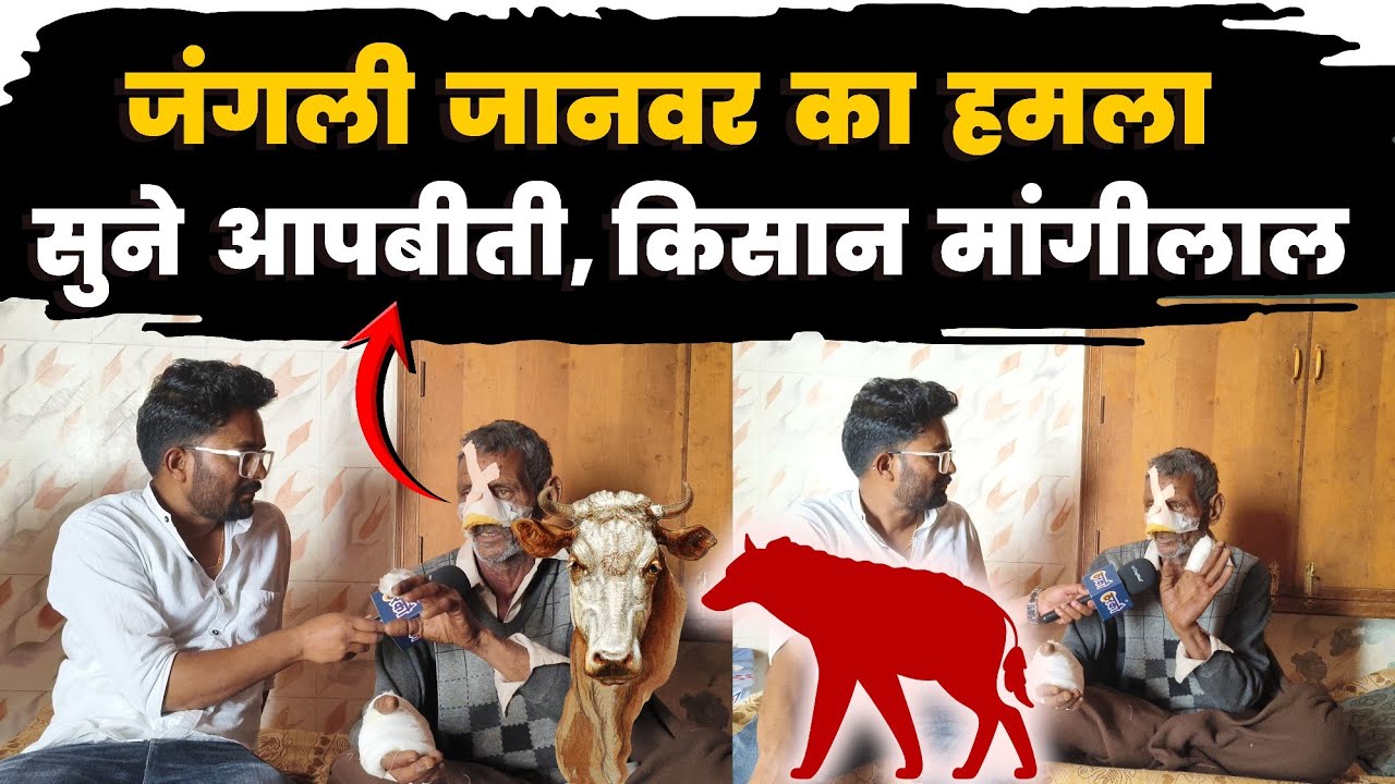 अज्ञात जानवर के हमले के बाद पहली बार कैमरे के सामने बोले, किसान मांगीलाल – बिरकाली अज्ञात जानवर 