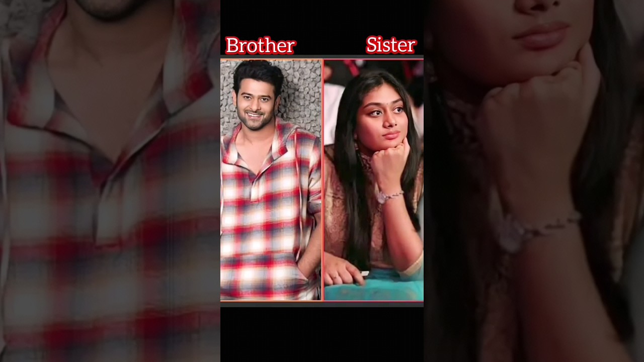 South Indian actors sister # brother # sister # actors # shorts#kiped
