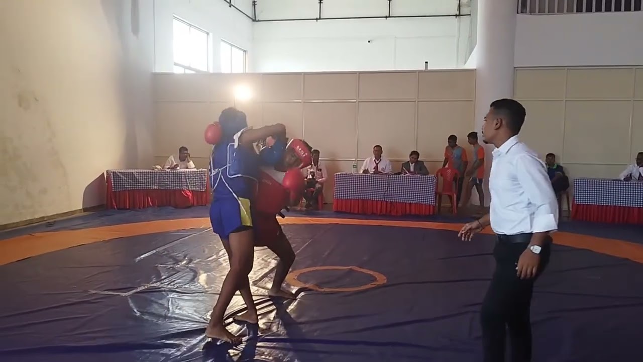 State Level Wushu🥊