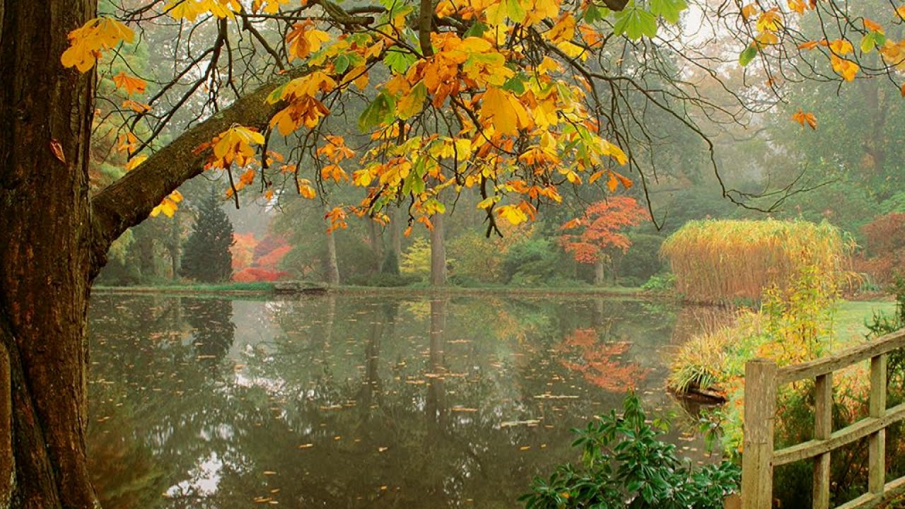 The Colors of Autumn
