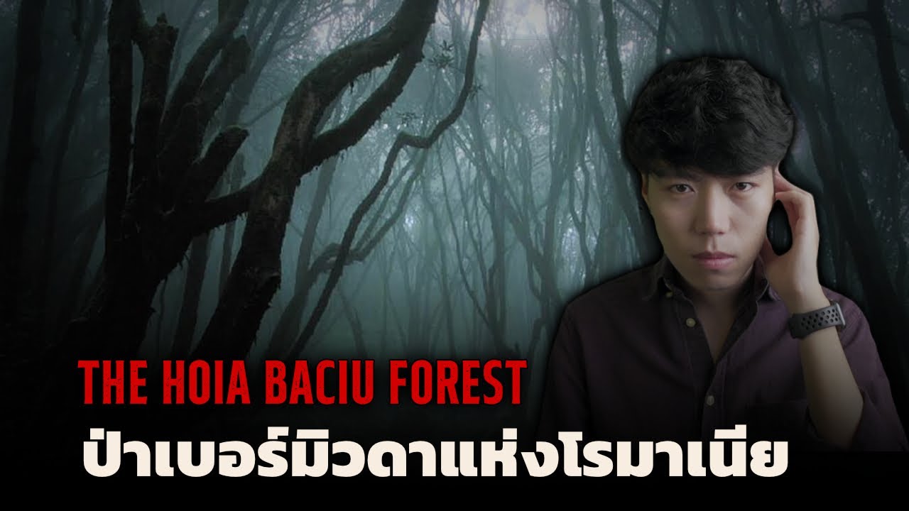 ป่าพิศวงที่เต็มไปด้วยเรื่องราวแปลกๆ  l The Hoia Baciu Forest ปริศนาป่ามรณะ
