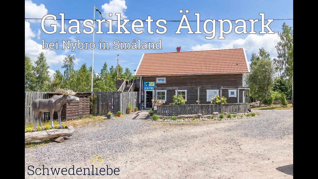 Glasrikets Älgpark | Elchparks in Schweden