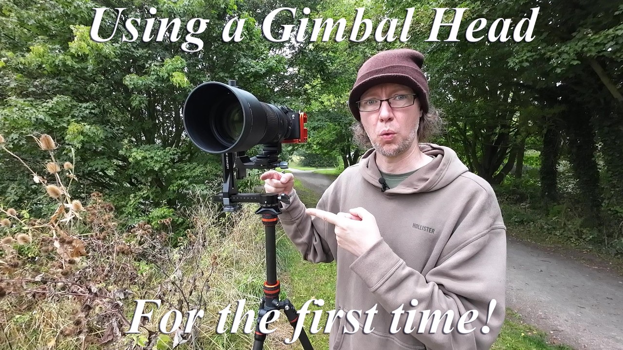 KentFaith K&F Concept Gimbal Head review - first time using a gimbal!