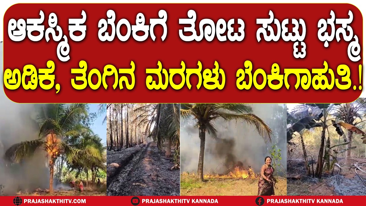 FIRE ACCI*DENT | ಆಕಸ್ಮಿಕ ಬೆಂಕಿಗೆ ತೋಟ ಸುಟ್ಟು ಭಸ್ಮ - ಅಡಿಕೆ ತೆಂಗಿನ ಮರಗಳು ಬೆಂಕಿಗಾಹುತಿ | GUBBI NEWS |