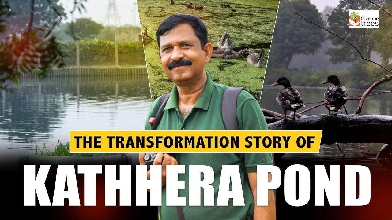 The restoration story of Kathhera pond 