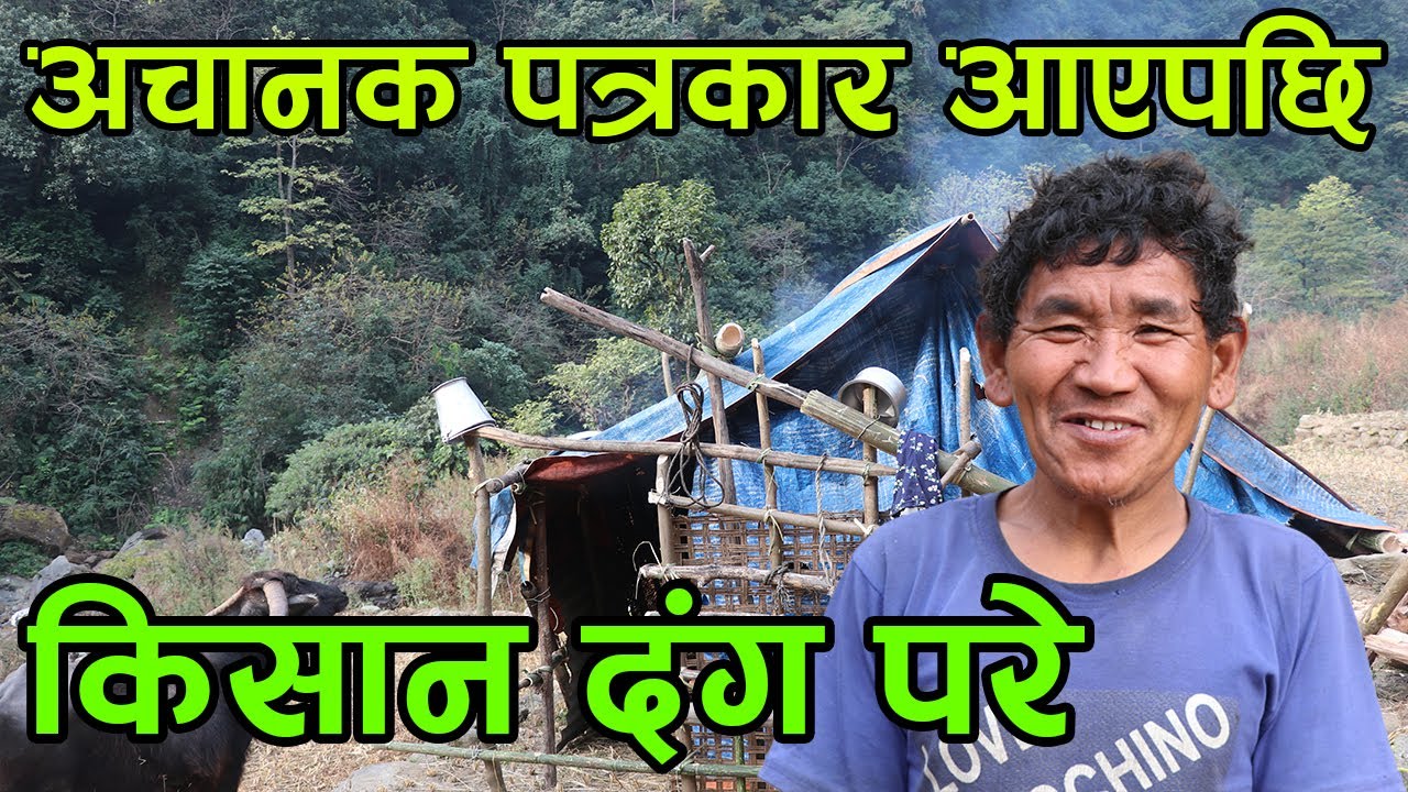 अचानक गोठमा पात्रकार पुग्दा दंग भए किसान  ||kiranpaudel
