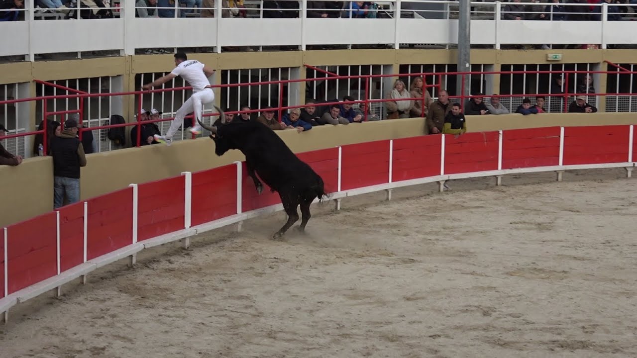 1ere JOURNÉE DE LA BICHE D’ARGENT -Saint Gilles LE 15 03 2025