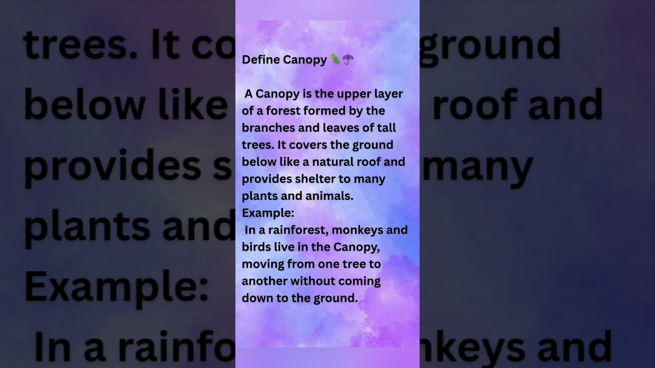 Define Canopy 🦜☂️