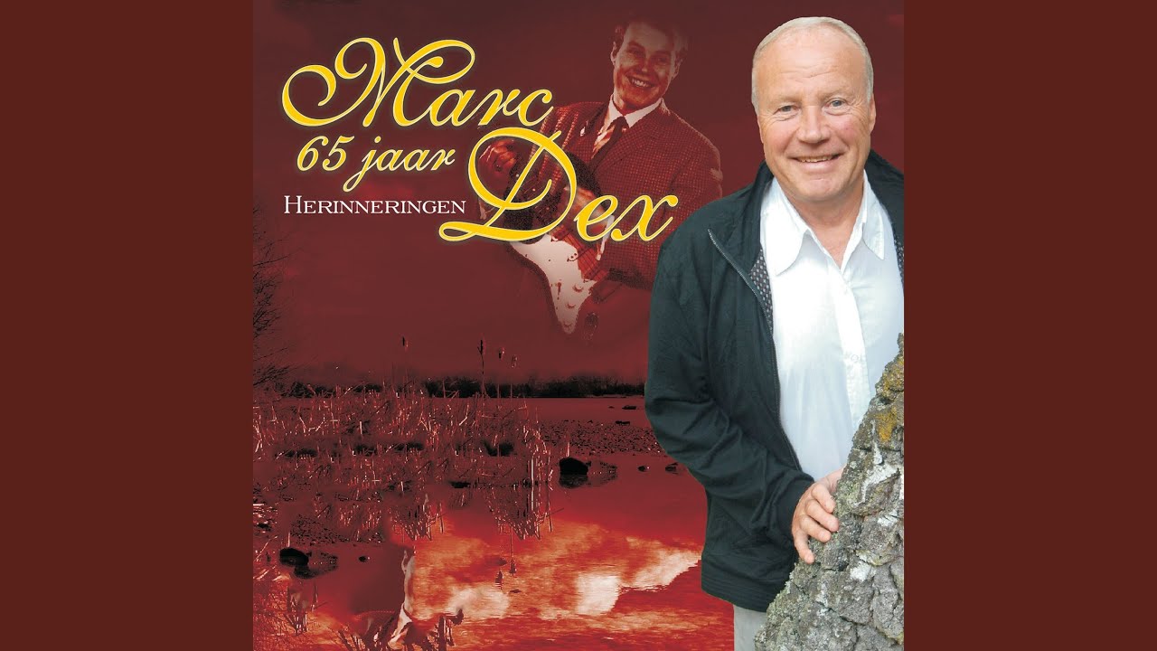 Aan Een Moeder