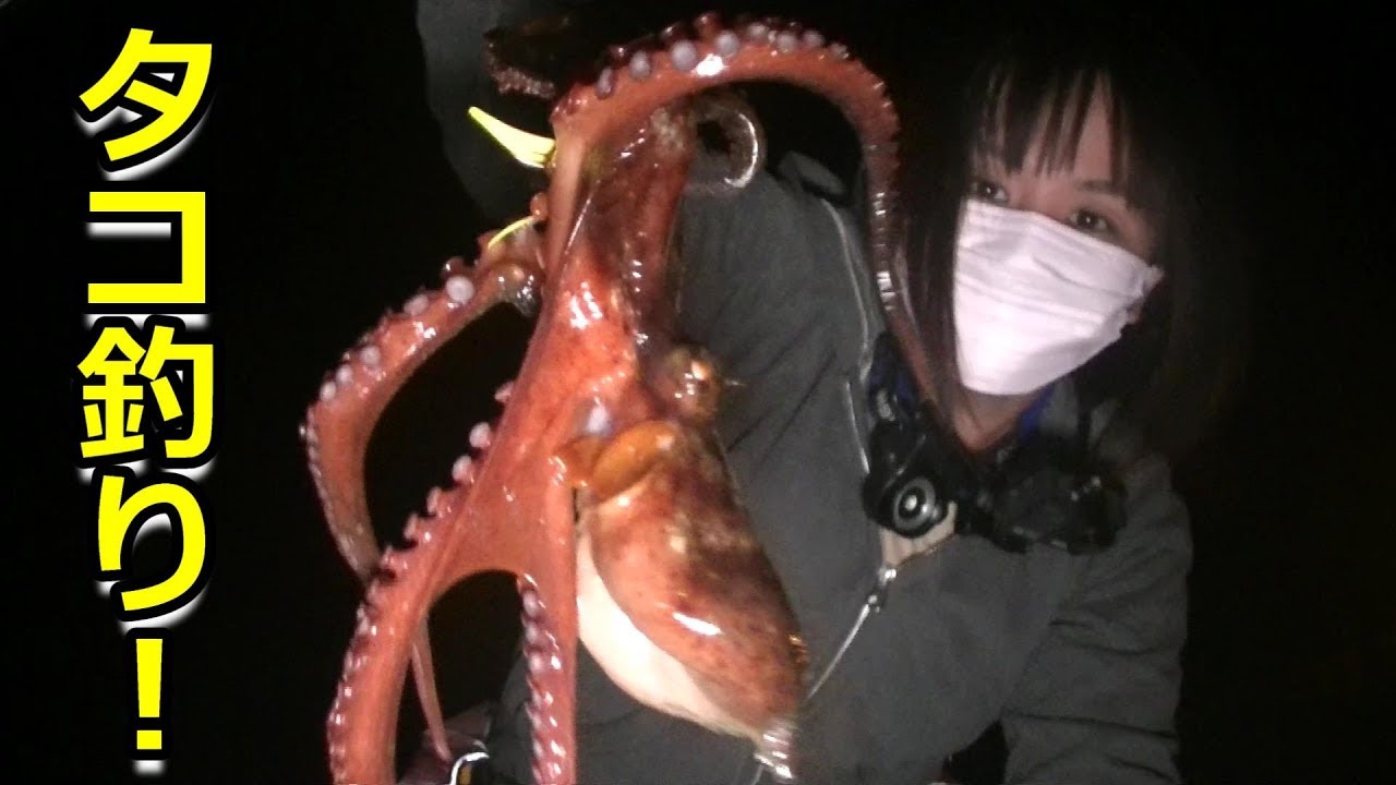 タコ釣り！タコゆらハンターを持ってタコ釣りに行ってきました