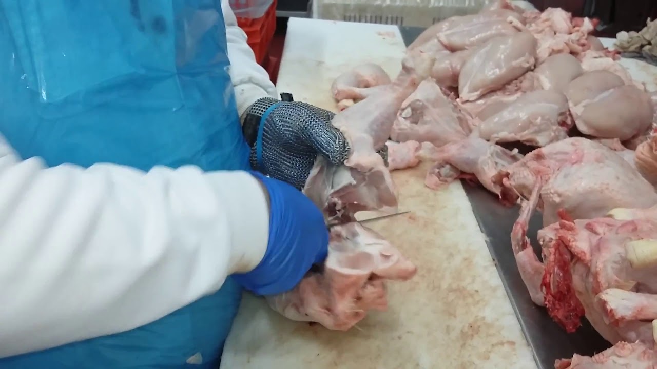 Como descuartizar un pollo profesional, sala de despieces