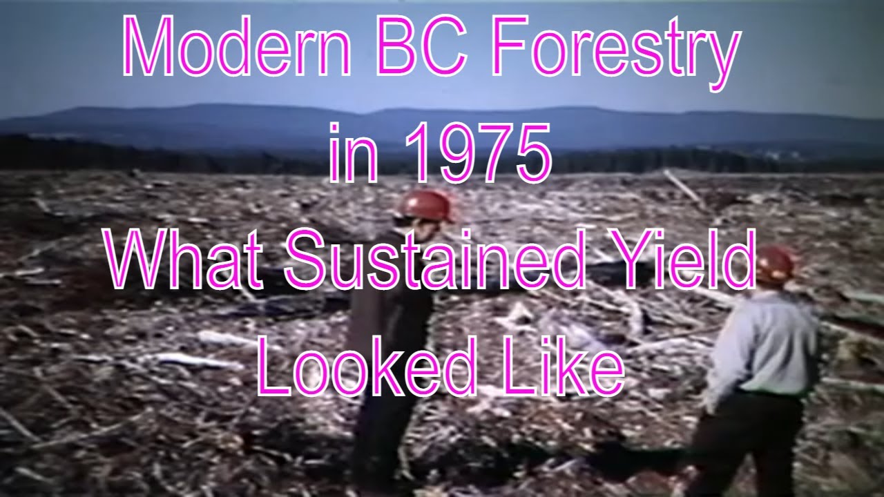 Development of Sustained Yield - a 1975 BC Forest Service film