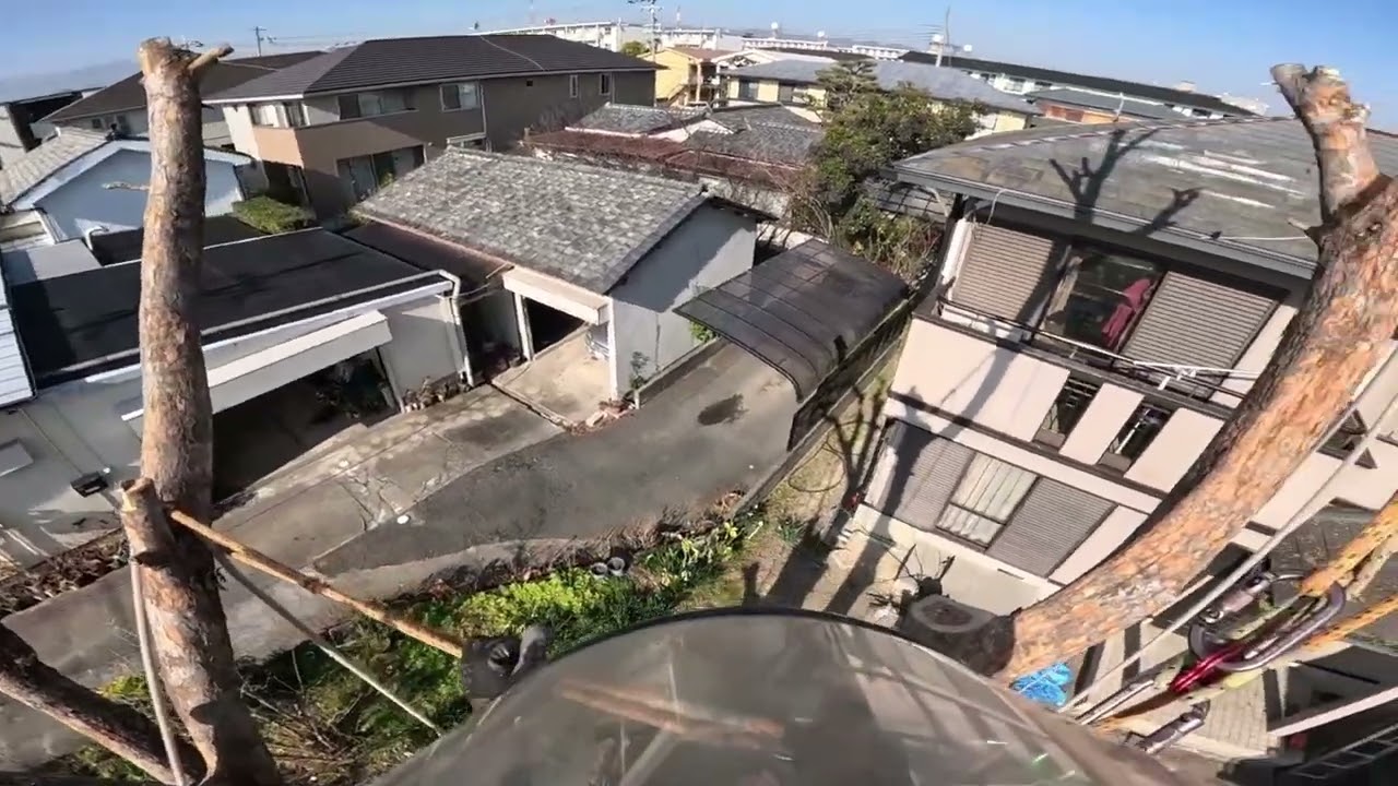 高木特殊伐採　ウッドタワー工法