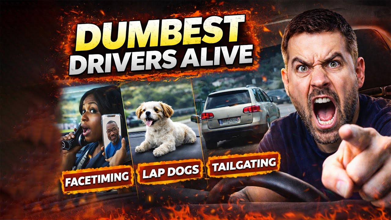 The Dumbest Drivers Alive: Road Rage, Distracted Driving & Pure Chaos