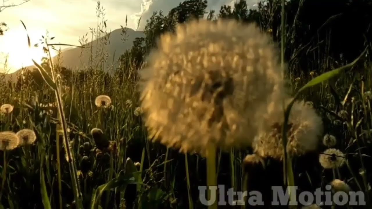 Ultra Motion cinematic view Motivational music with 4K HD Ultra motion