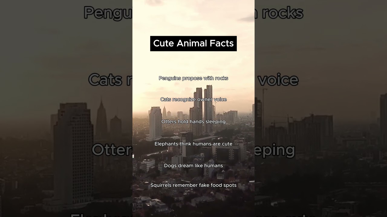 Cute animal facts