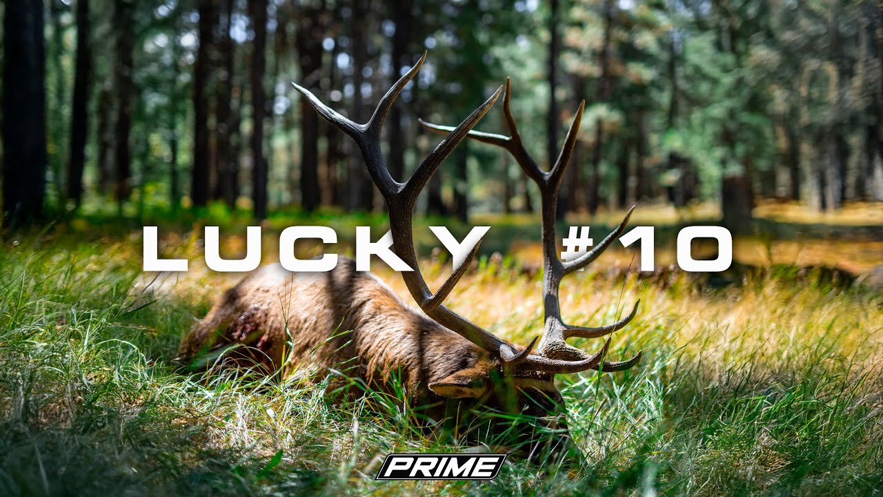 Lucky #10 | An Arizona Elk Film