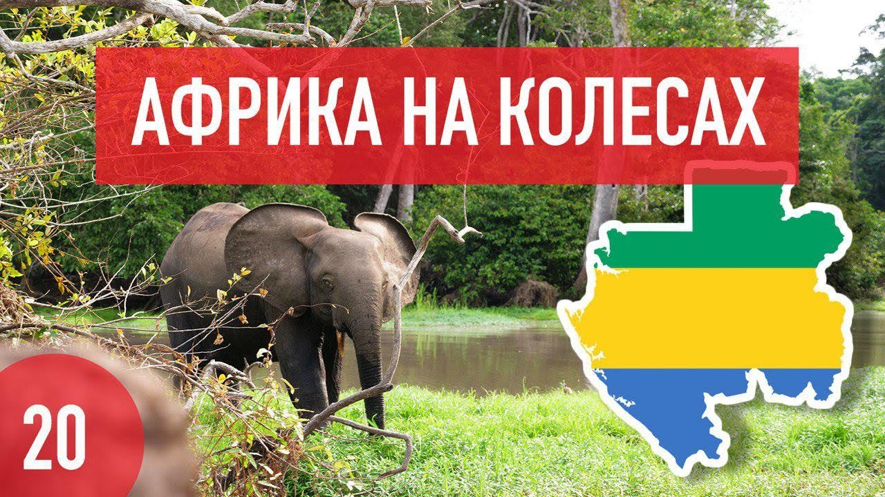 Габон. Ночевка со слонами, Экватор и госпиталь Швайцера в Ламбарене. Африка на колесах #20