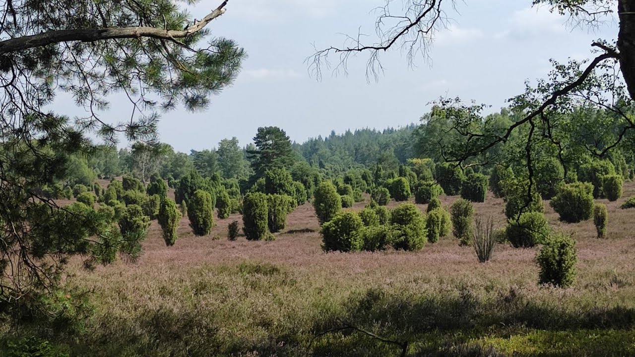Lüneburger Heide - 3 Fahrradtage 2022