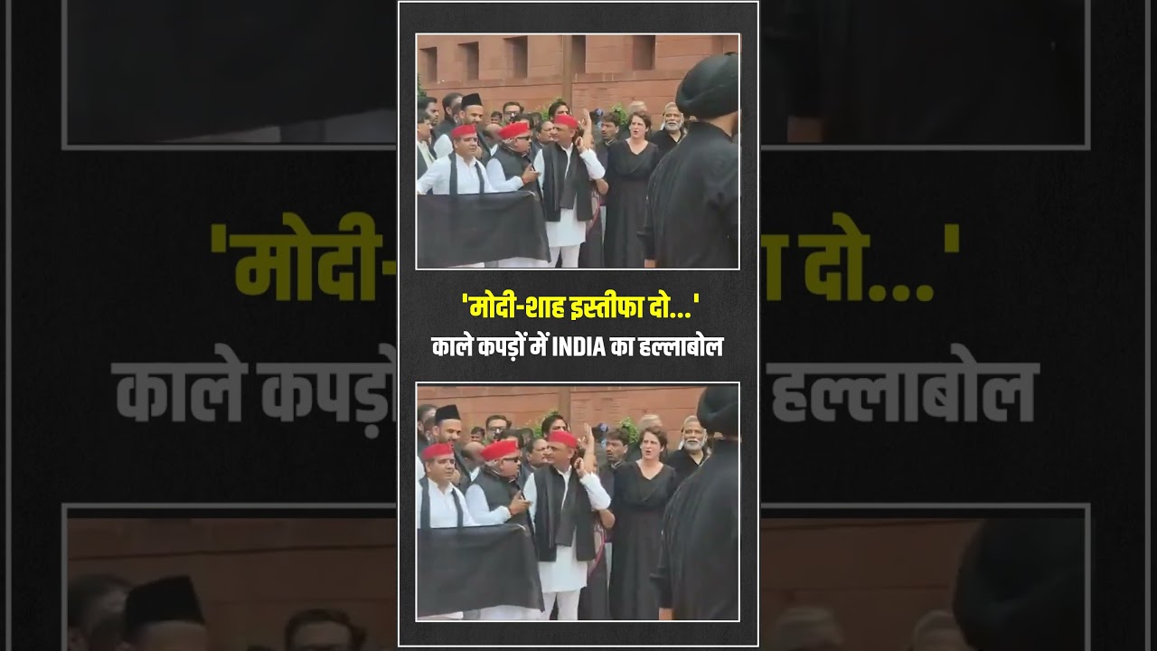 Modi-Amit Shah इस्तीफा दो | INDIA Protest | Rahul Gandhi | Priyanka Gandhi | Kharge Ji