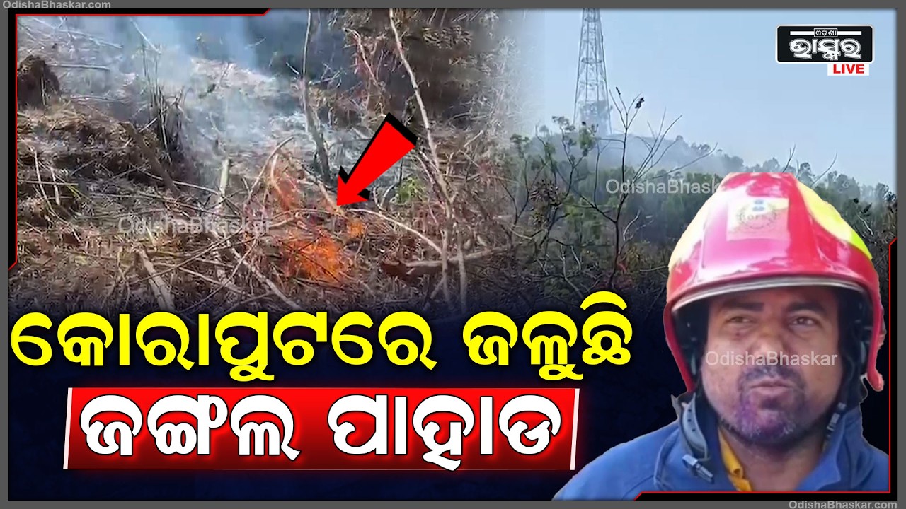 କୋରାପୁଟରେ ଜଳୁଛି ଜଙ୍ଗଲ ପାହାଡ... ଘଟଣା ସ୍ଥଳରେ ପହଞ୍ଚିଛନ୍ତି ଅଗ୍ନିଶମ ବିଭାଗ...