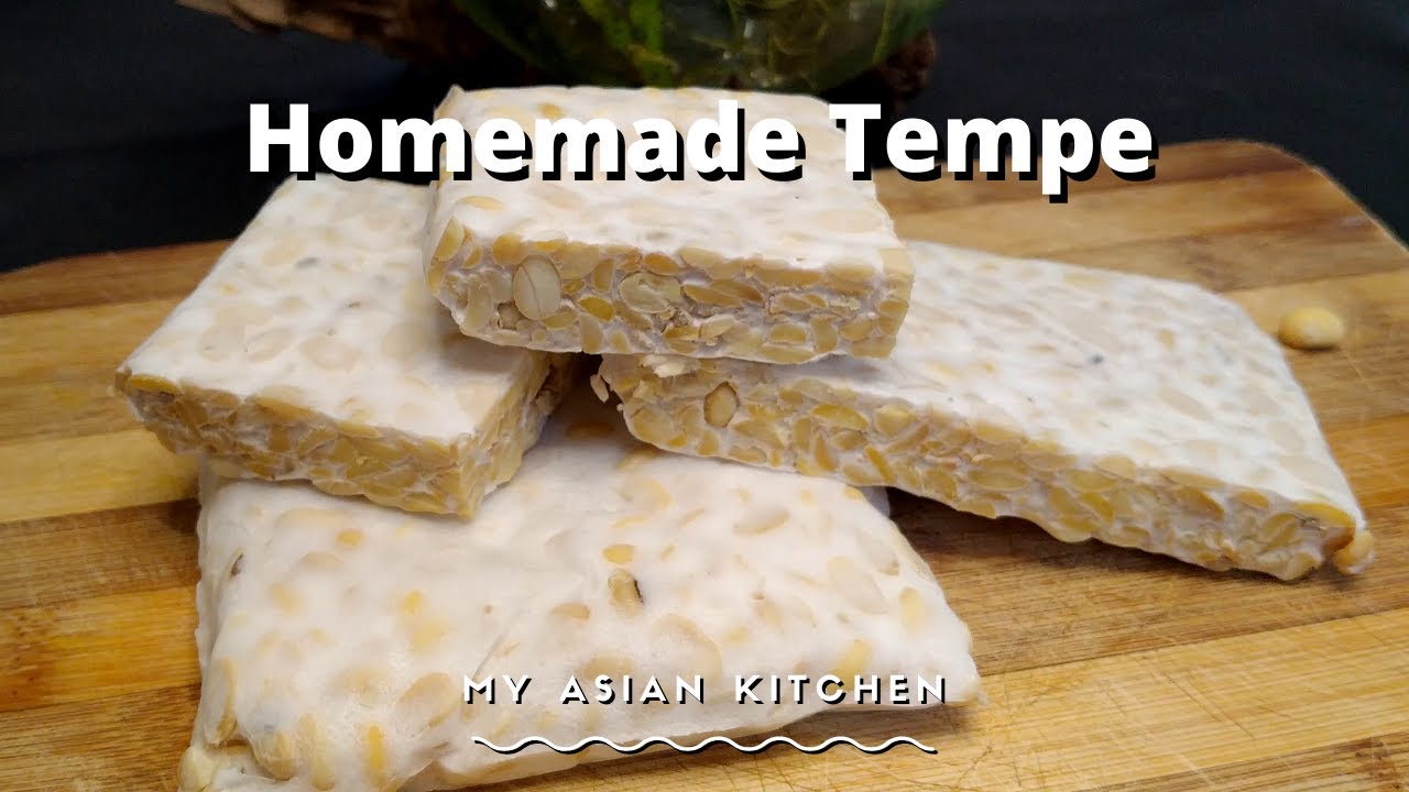 how to make tempeh at home, fermenting soya beans | Membuat Tempe