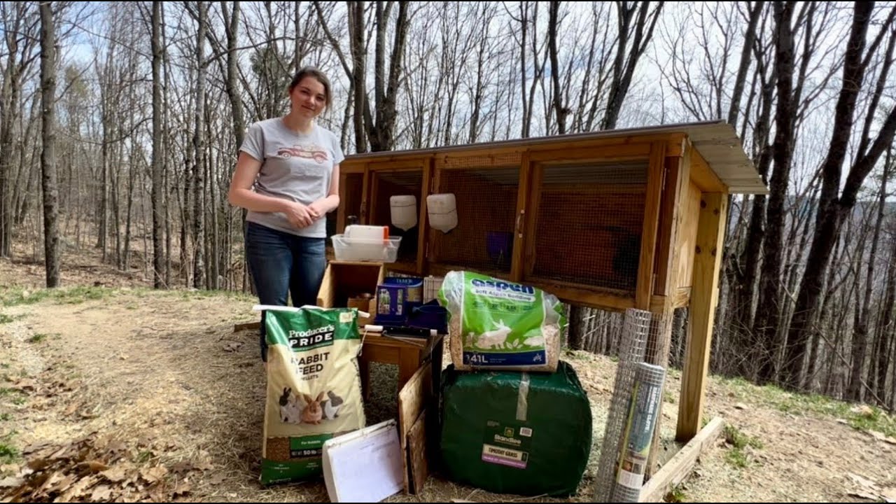 Meat Rabbits: Everything You Need to Get Started