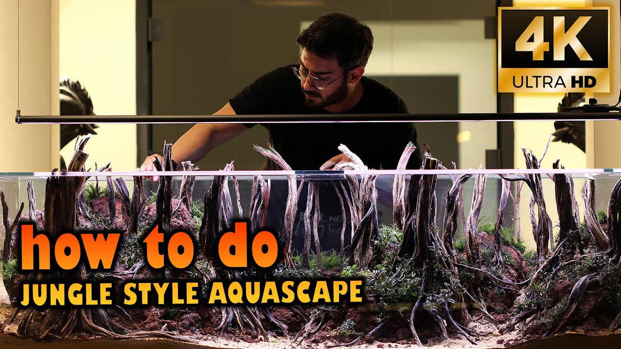 Adım Adım Bitkili Akvaryum Tasarımı (Jungle Style Aquascape)
